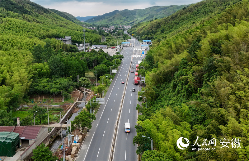 跨省公交是老百姓看得见、摸得着的“一体化”。人民网记者 苗子健摄